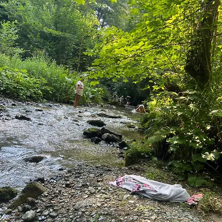 Lejlighed Crjanski Raj