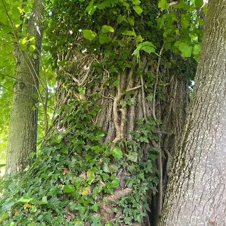 Crjanski Raj * Crna na Koroskem