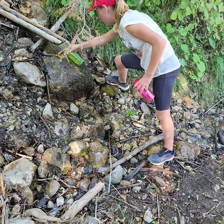 Διαμέρισμα Crjanski Raj *