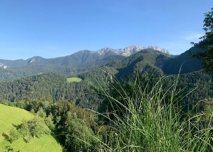 Crjanski Raj Apartman Crna na Koroskem