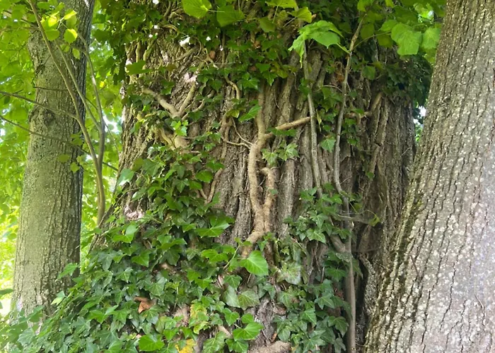 Crjanski Raj * Crna na Koroskem